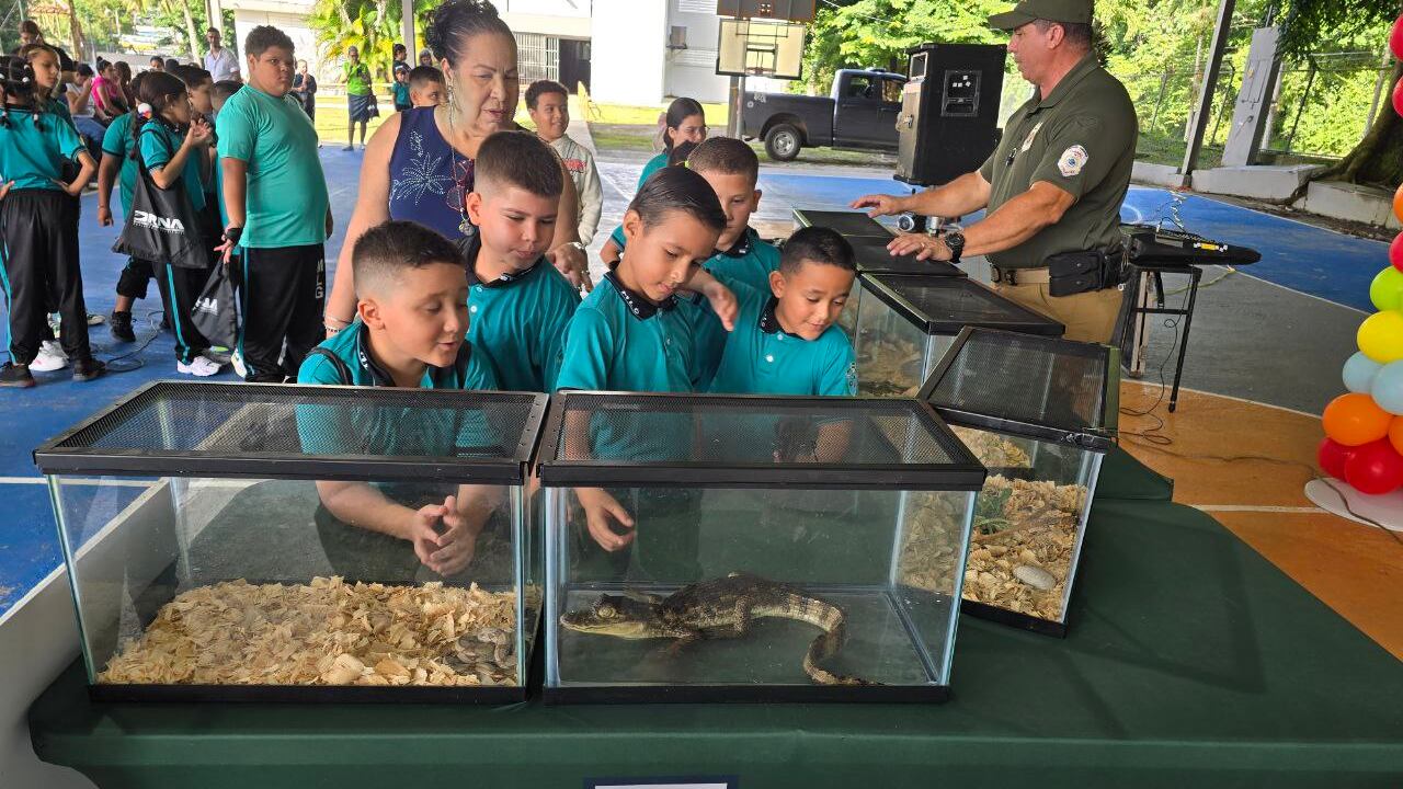 Orientan a estudiantes sobre especies invasoras exóticas en Puerto Rico.
