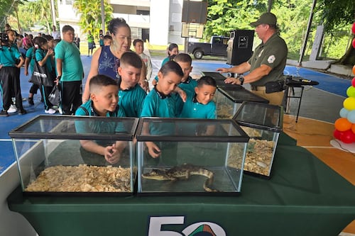 DRNA orienta a estudiantes sobre especies invasoras exóticas en Puerto Rico