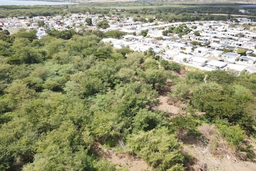 Reavivan reclamo para convertir terrenos costeros de Salinas en reserva natural