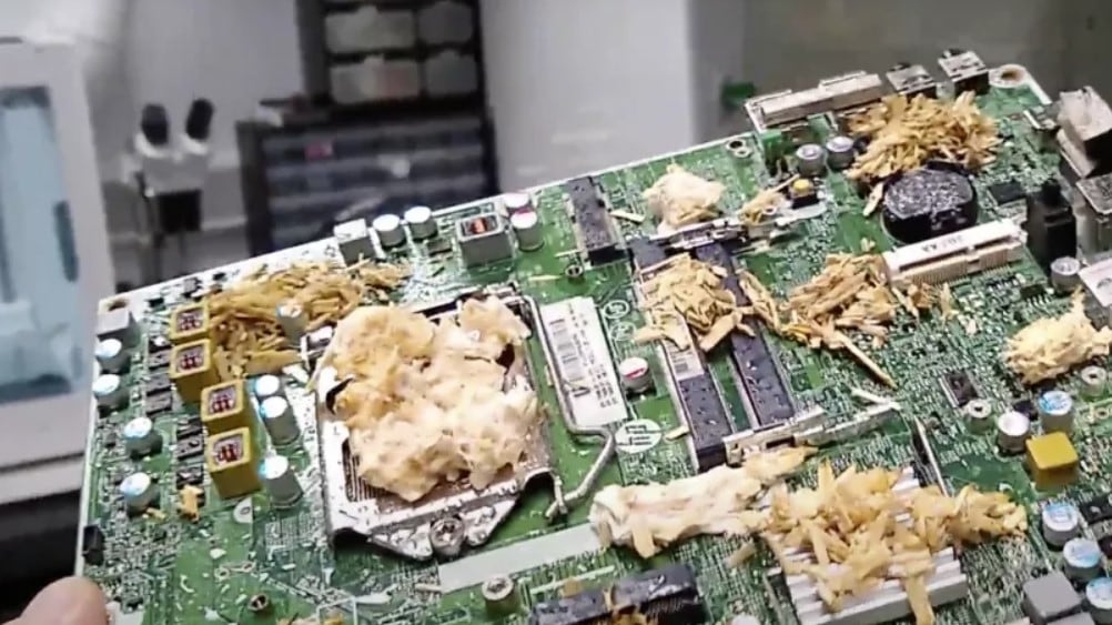 Computadora viva