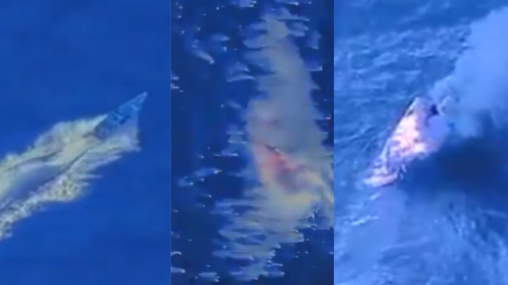 Estados Unidos destruye quinta lancha frente a Venezuela en medio del “conflicto armado” contra cárteles