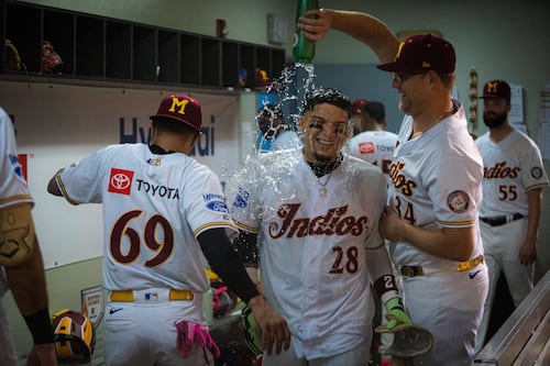 Pelota Invernal: Leones, Criollos e Indios obtienen triunfos en la jornada del miércoles