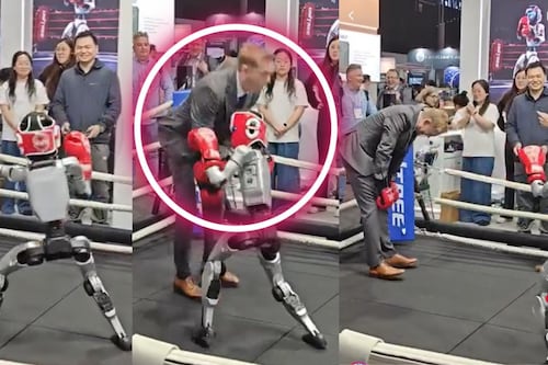 ¿Es legal? Robot humanoide golpea a hombre durante pelea de box