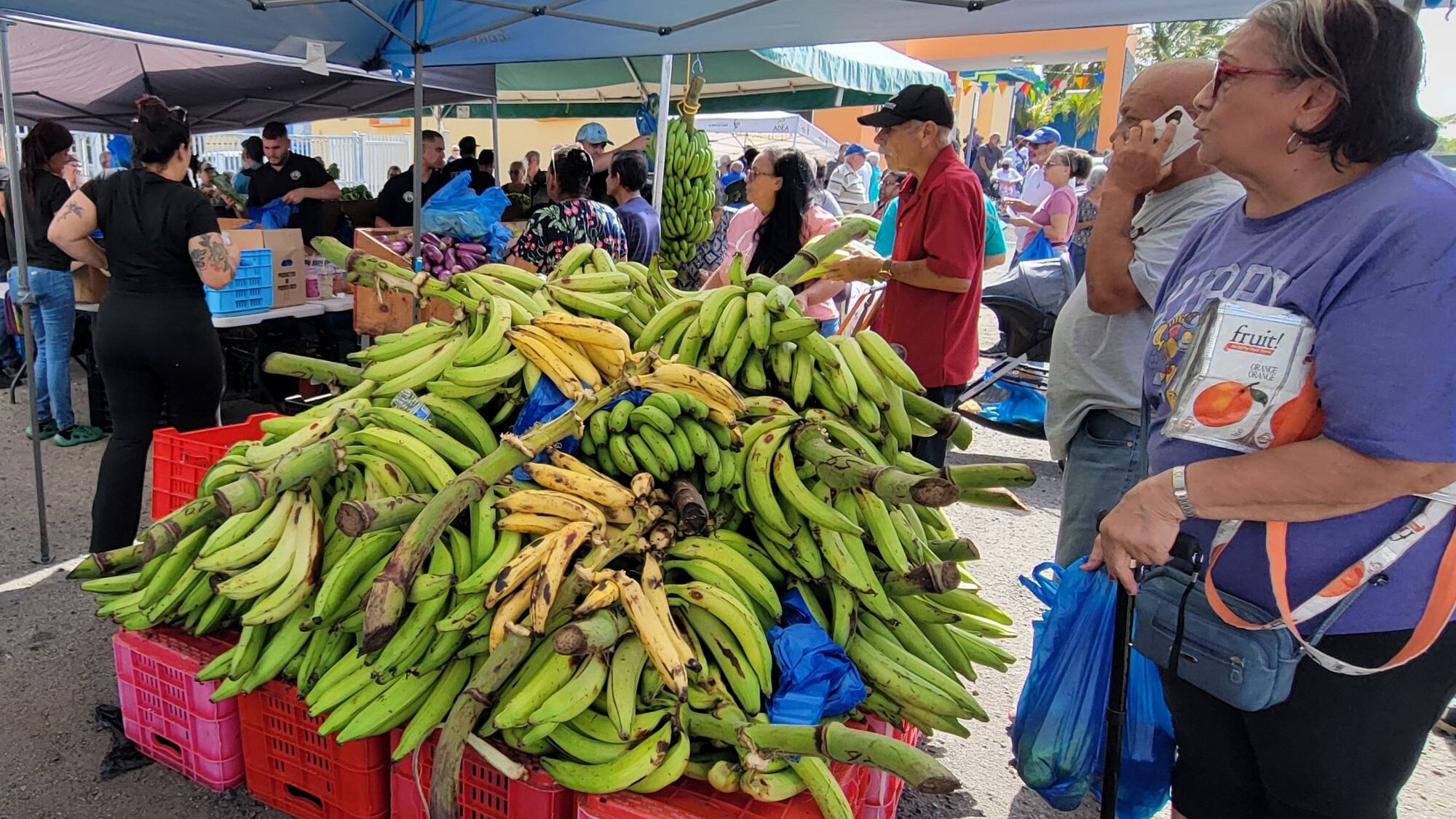 Municipio de Ceiba entrega vales de alimentos a 300 adultos mayores