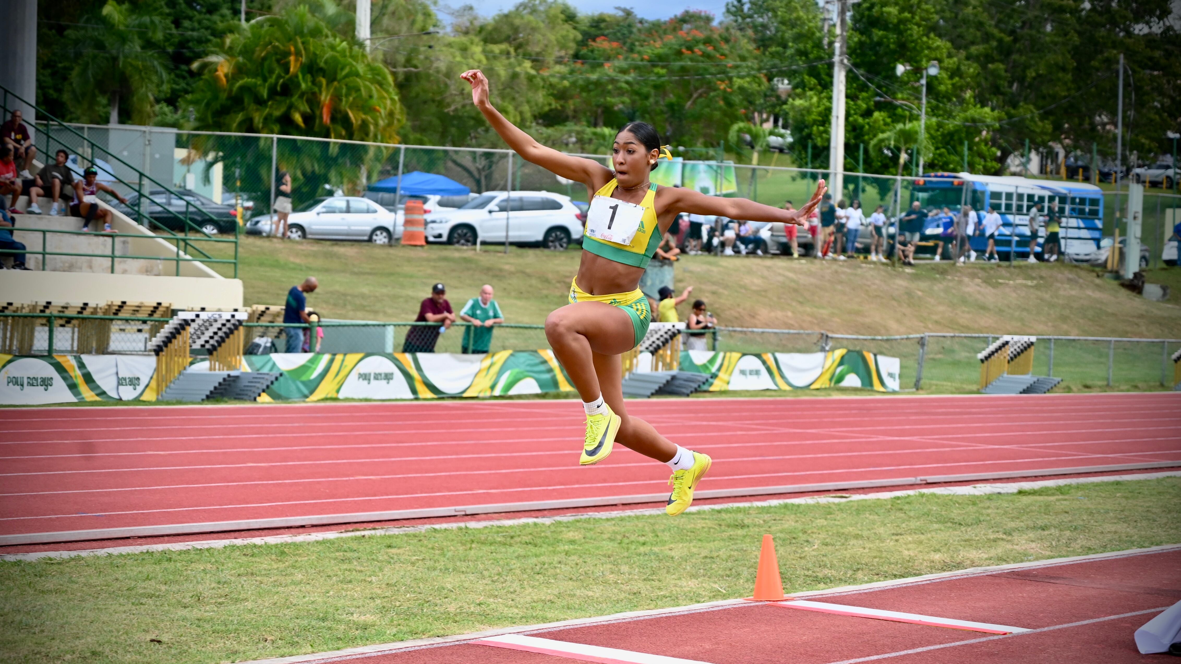 Universidad Interamericana