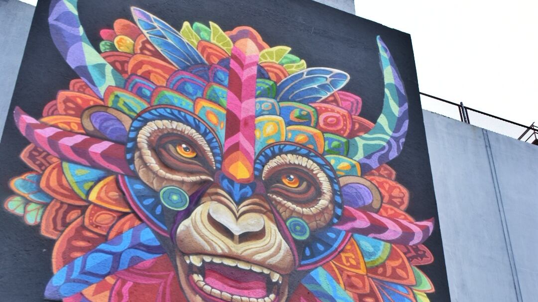 Santurce es Ley