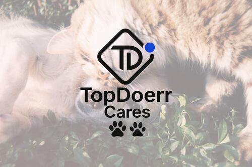 TopDoerr AI lanza iniciativa para regalar sitios web a ONGs que rescatan animales en Puerto Rico y LATAM