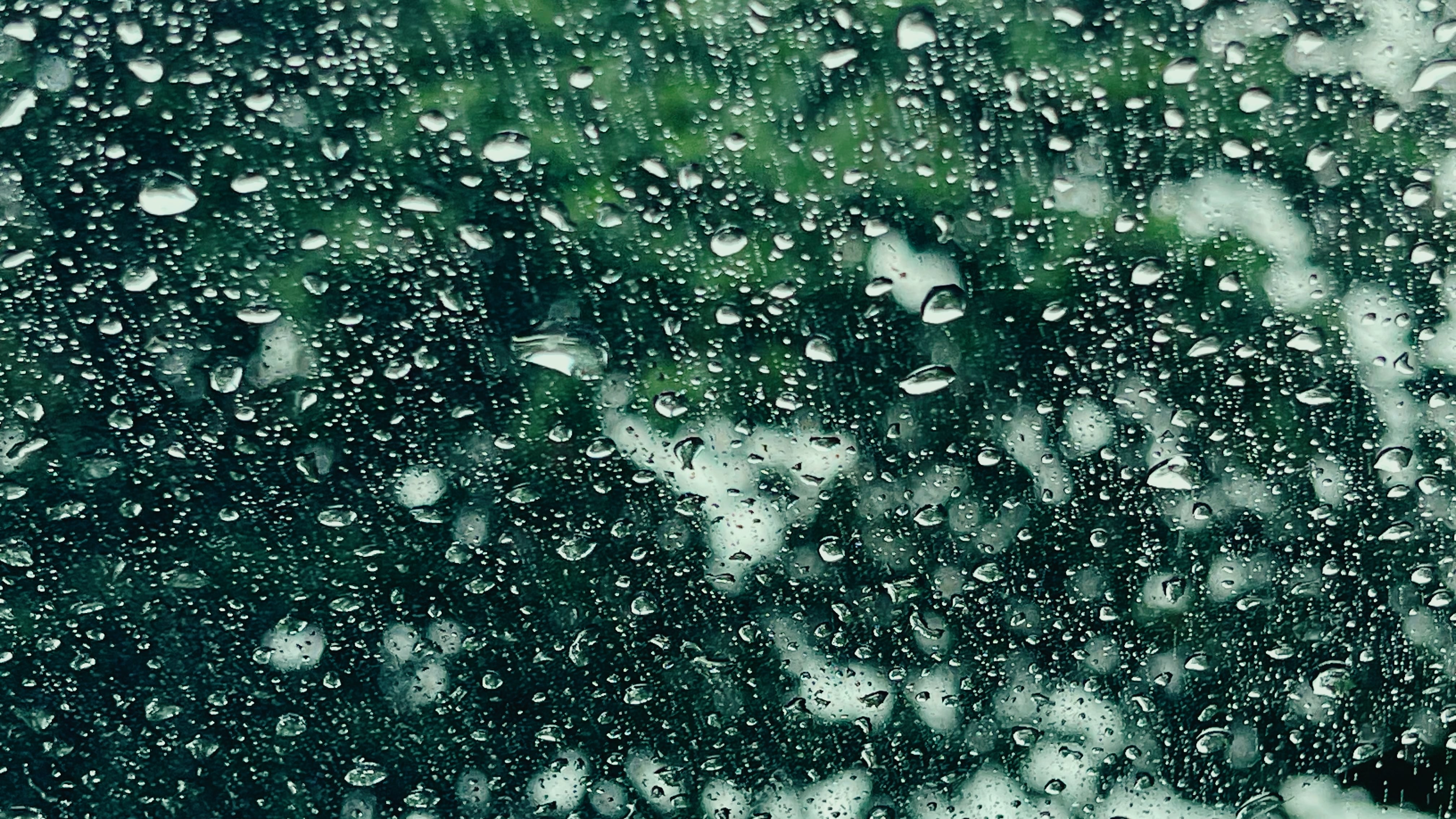 El pronóstico del tiempo prevé temperaturas de hasta 31 °C y precipitaciones durante la mañana, tarde y noche en la ciudad.