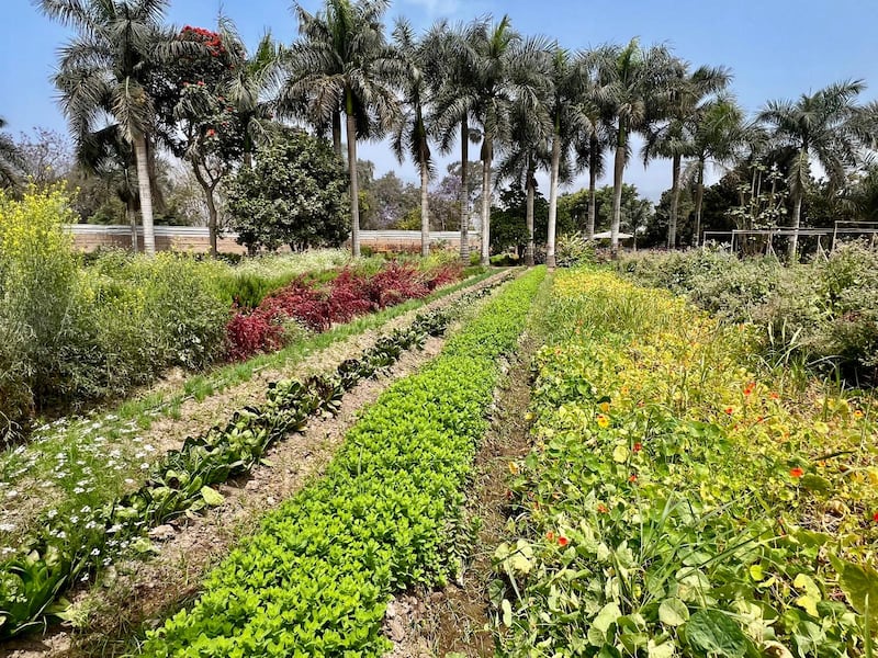 Fotos Lynet Santiago Túa