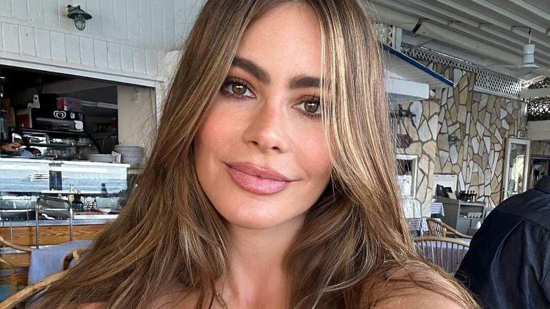Sofía Vergara. / Instagram