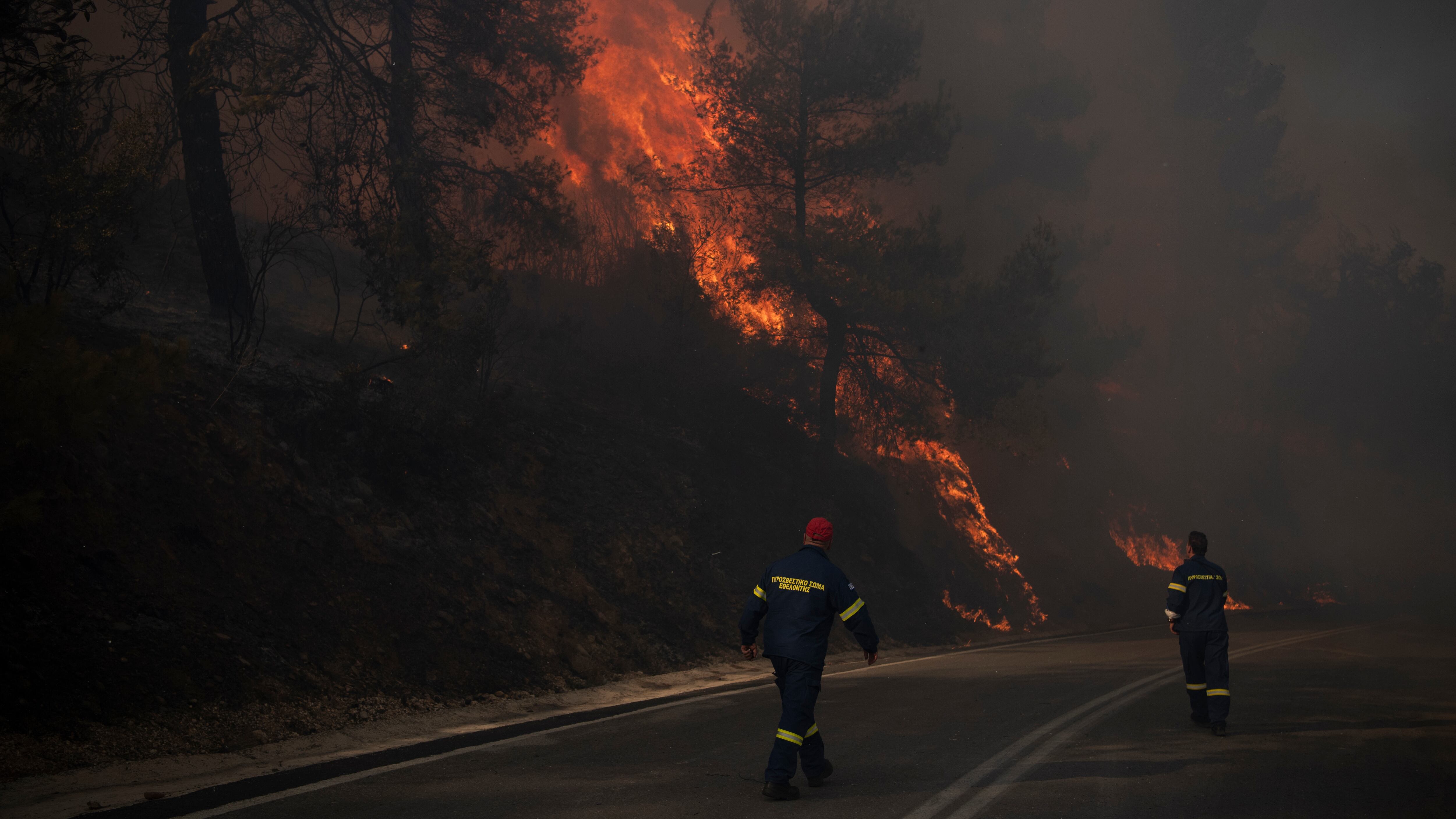 Bomberos inspeccionan las llamas cerca de una carretera en Varnava durante un incendio forestal, al norte de Atenas, Grecia, el domingo 11 de agosto de 2024. (Foto AP/Michael Varaklas)