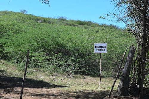DRNA advierte que el proyecto Esencia impactará hábitats críticos y especies en peligro en Puerto Rico