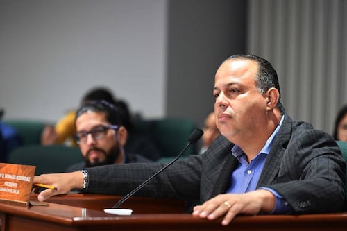 ¿Qué son los destaques y cómo funcionan en el gobierno?