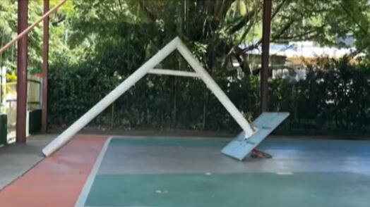 Canasto en Utuado (Foto: Telemundo)