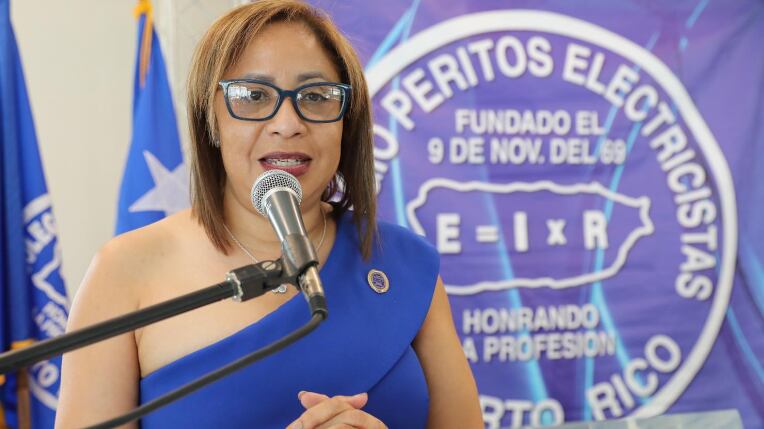 Presidenta del Colegio de Peritos Electricistas de Puerto Rico (CPEPR), Frances Berríos Meléndez.