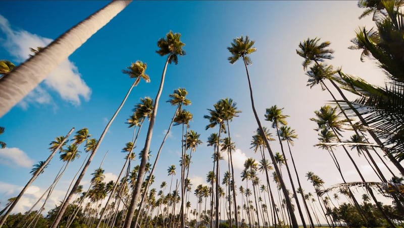 Experiencia inmersiva