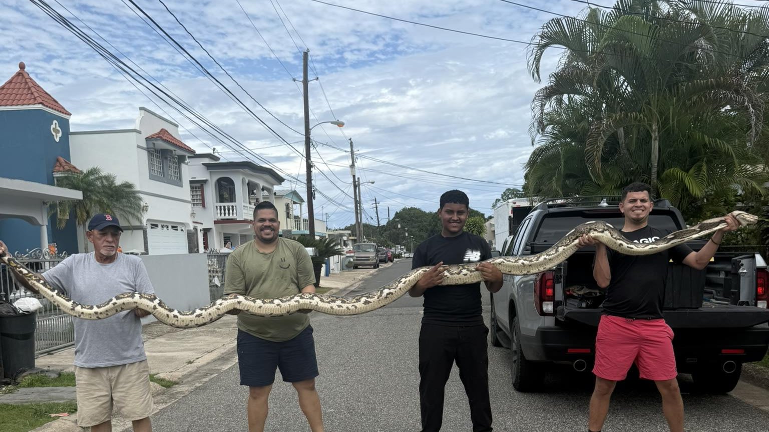 “Gongo Fishing PR” posa con la pitón reticulada más grande capturada en la Isla.