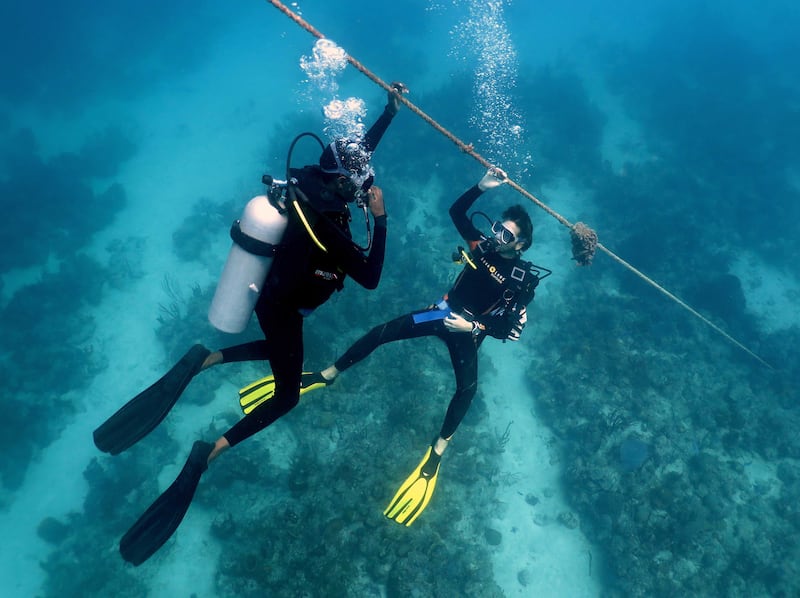 Una persona recibe clases de buceo en la República Dominicana. Los instructores temen que los turistas dejen de venir a medida que los arrecifes se deterioran.
Foto por Slow Dive Casa Chihuahua