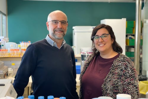 Trasplante de células madre logra la cura del VIH en el décimo paciente