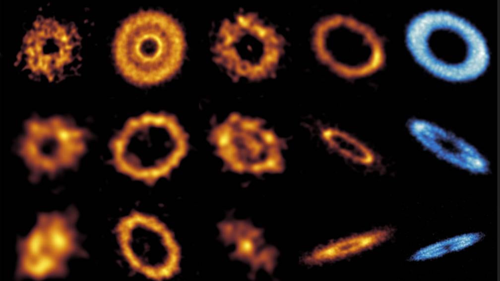 Esta galería ARKS de discos de escombros tenues revela detalles sobre su morfología: cinturones con múltiples anillos, halos anchos y lisos, bordes afilados y arcos y grumos inesperados, que sugieren la presencia de planetas que dan forma a estos discos. Fotografía facilitada por la Universidad de La Laguna/Sebastian Marino, Sorcha Mac Manamon y la colaboración ARKS.