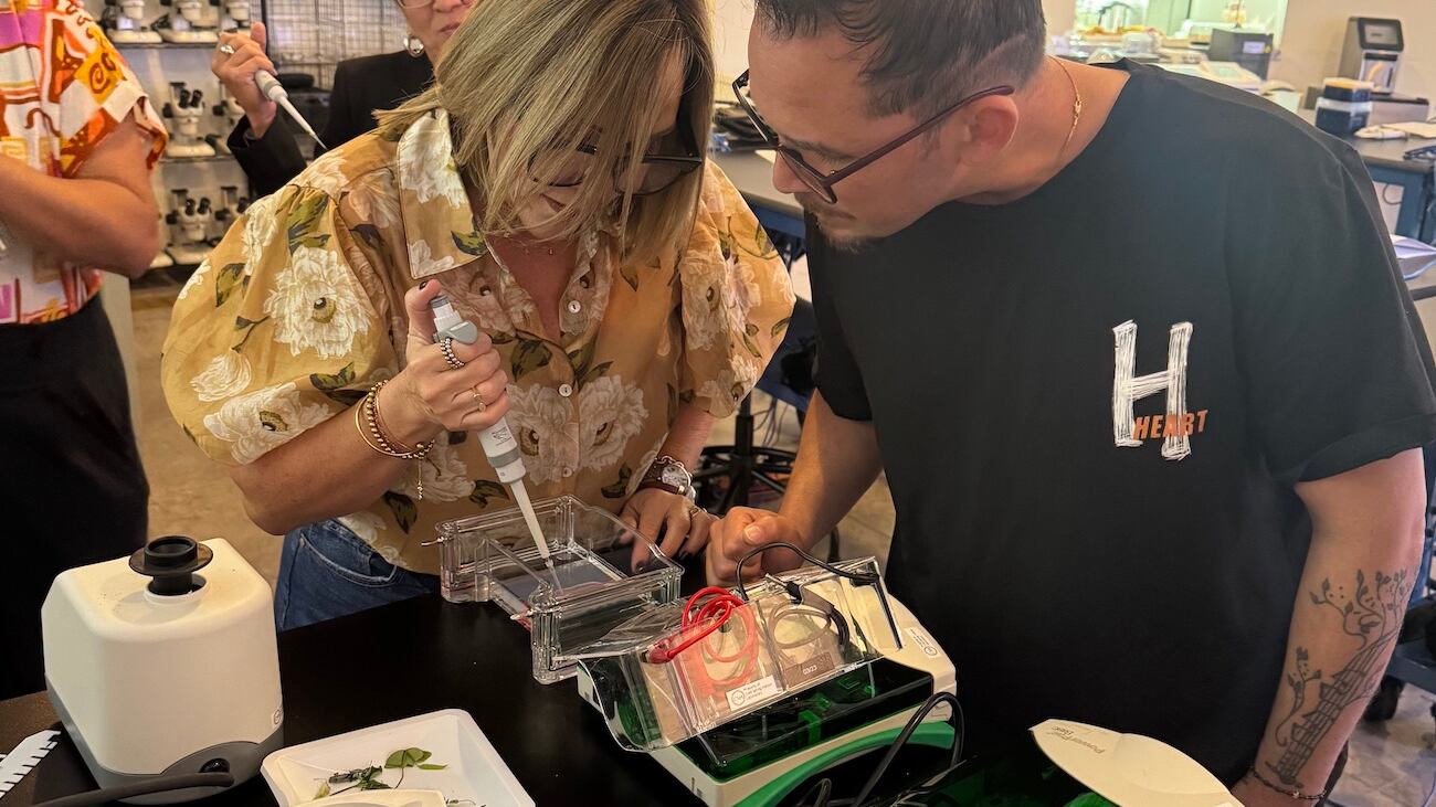 Observatorio de Arecibo