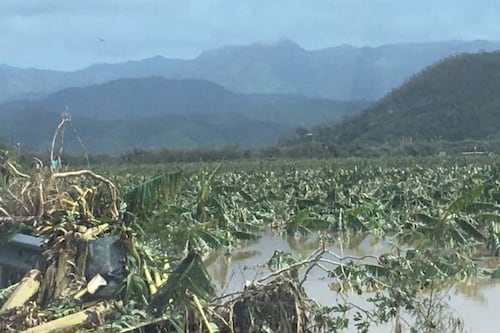 Agricultura urge asegurar fincas antes de la temporada de huracanes
