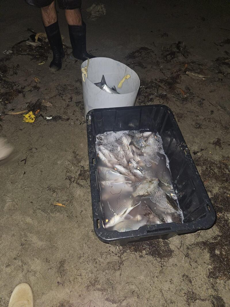 Pesca ilegal en Humacao.