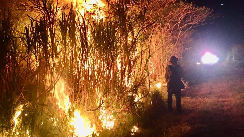 fuego forestal en Barceloneta