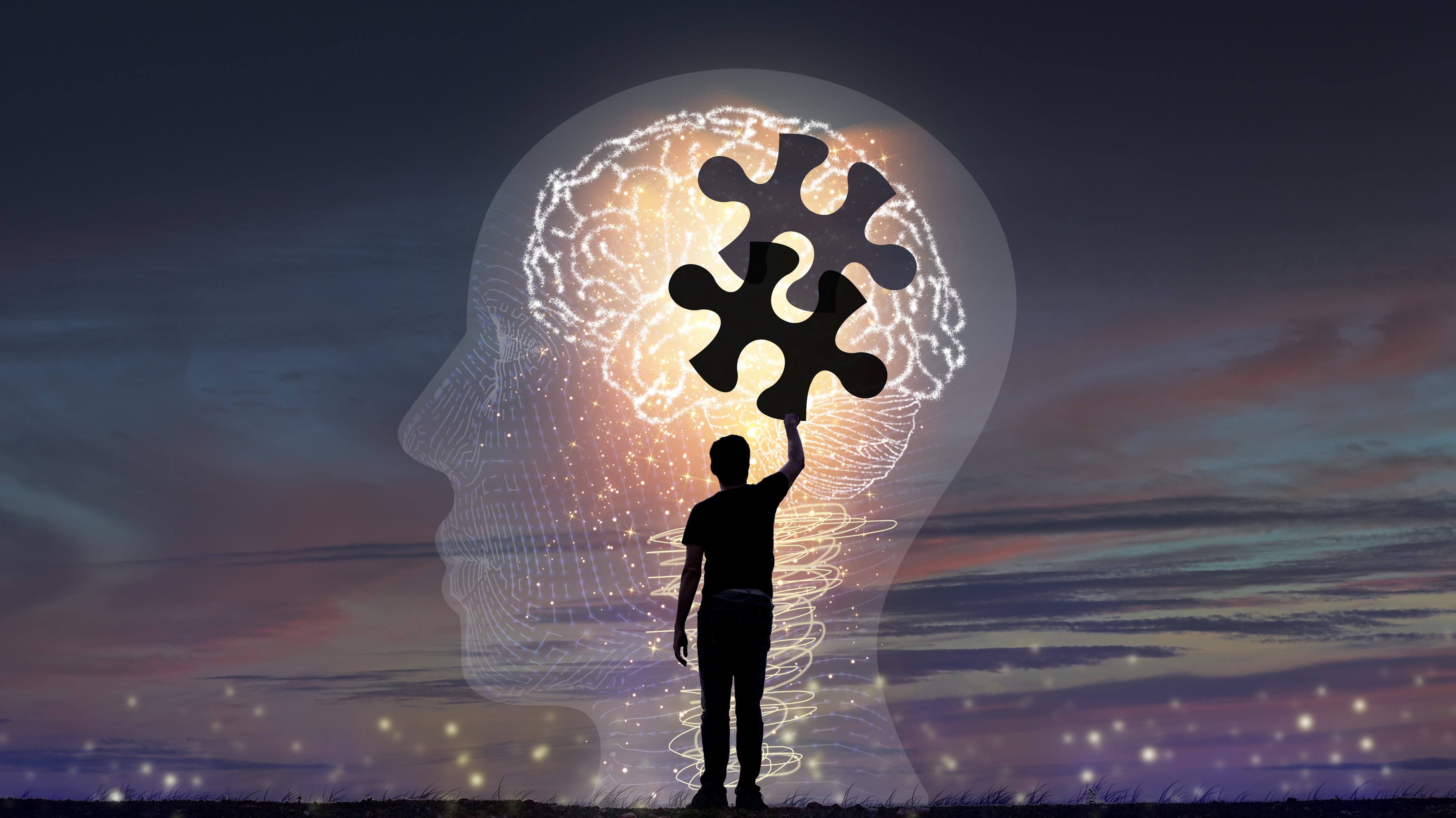 Discapacidad intelectual