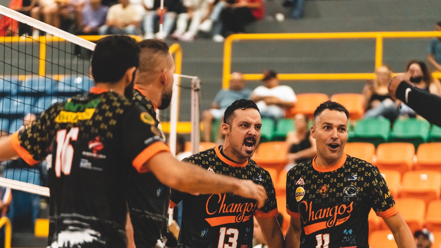 Changos de Naranjito