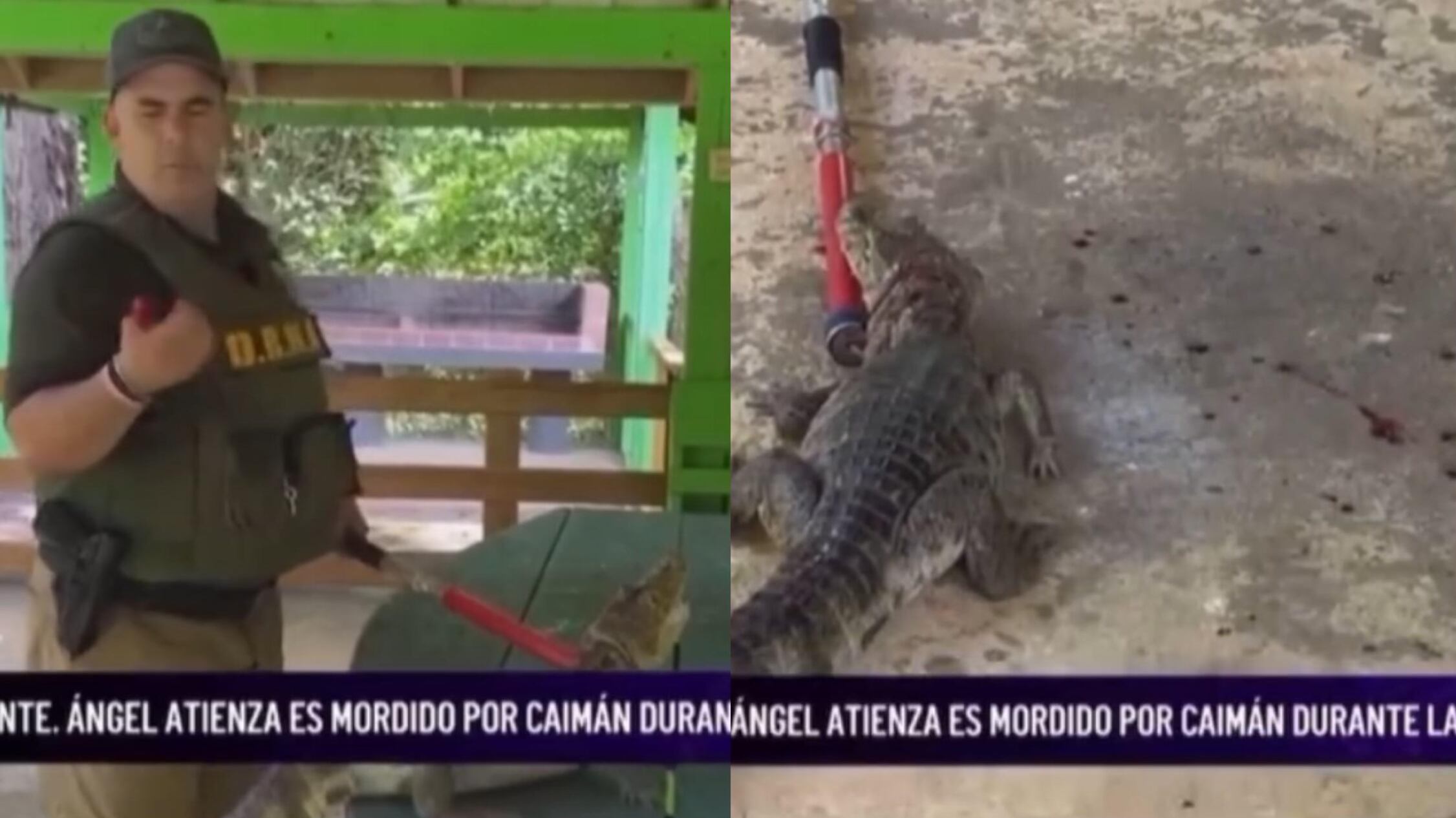 (capturas de pantalla)