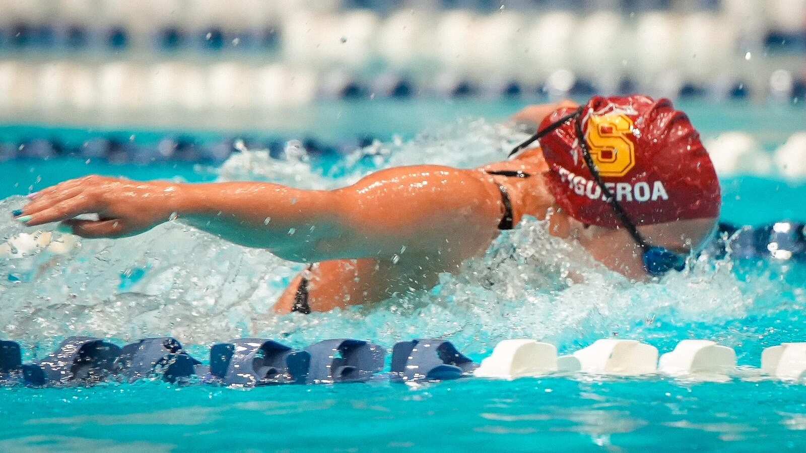 Universidad del Sagrado