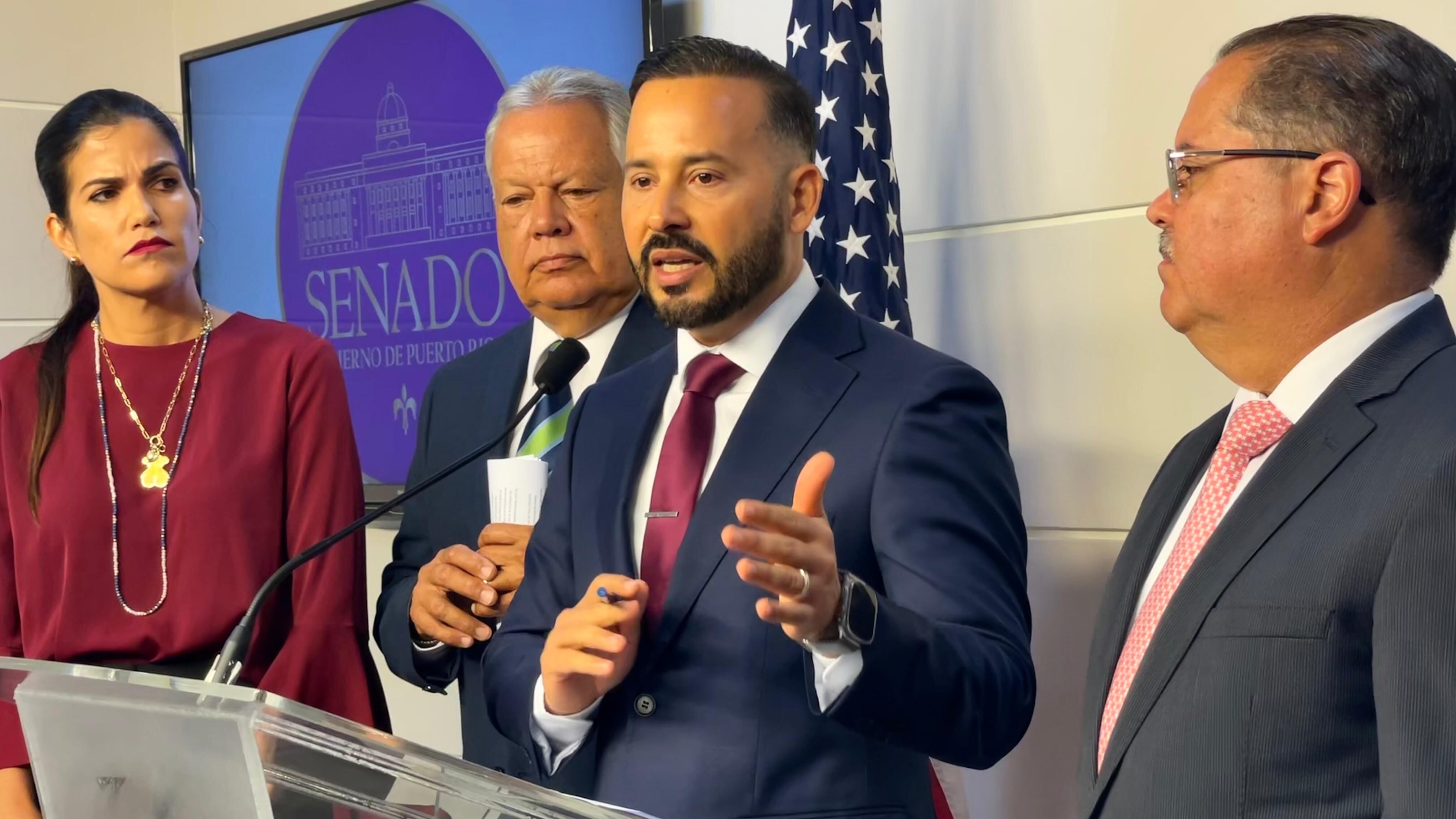 De izquierda a derecha: Marially González, Josian Santiago, Luis Javier Hernández y José Luis Dalmau.