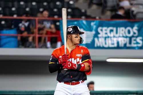 Leones aseguran pase a la postemporada del béisbol invernal