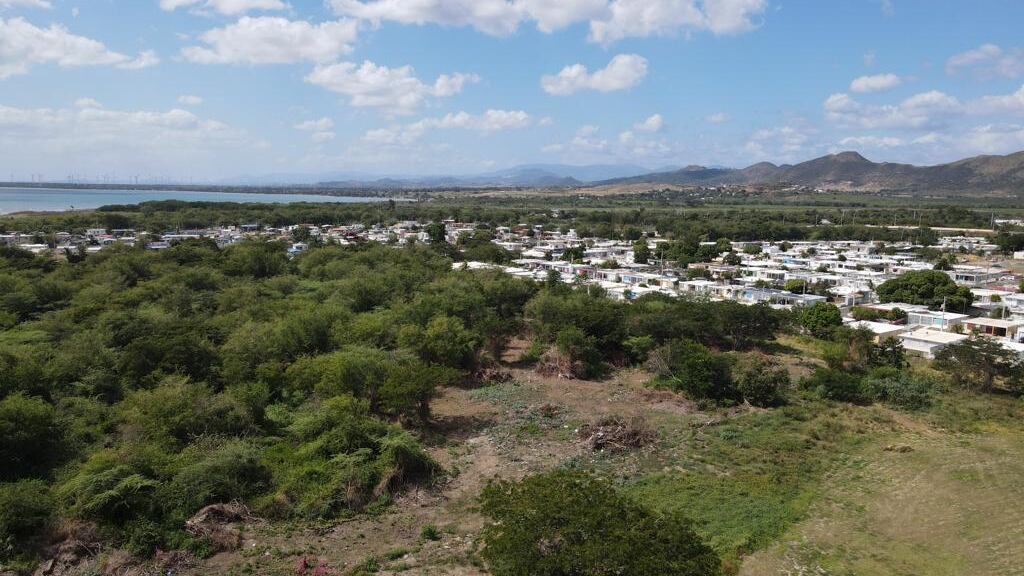 Bosque aledaño a la urbanización La Margarita de Salinas.