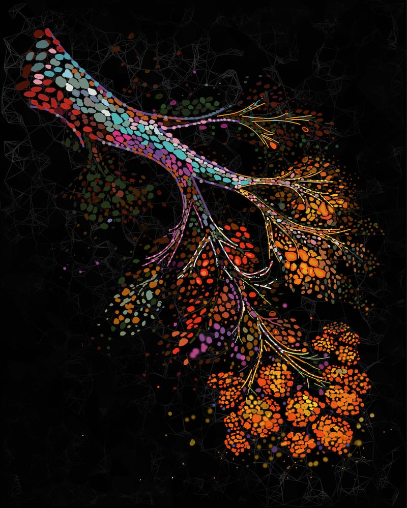 En la imagen, ilustración que representa la remodelación espacial a múltiples escalas de la mama humana a medida que envejece, con una red ductal ramificada incrustada en un microentorno denso y rico en células que da paso progresivamente a tejido rico en grasa con la edad.  EFE/ Investigadores de las universidades de Cambridge y de la Columbia Británica.