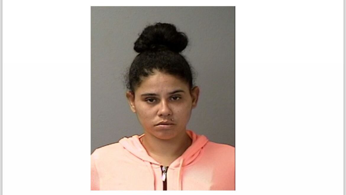 Elmaris Ortiz Velázquez poseía expediente criminal por violencia doméstica del año 2022.