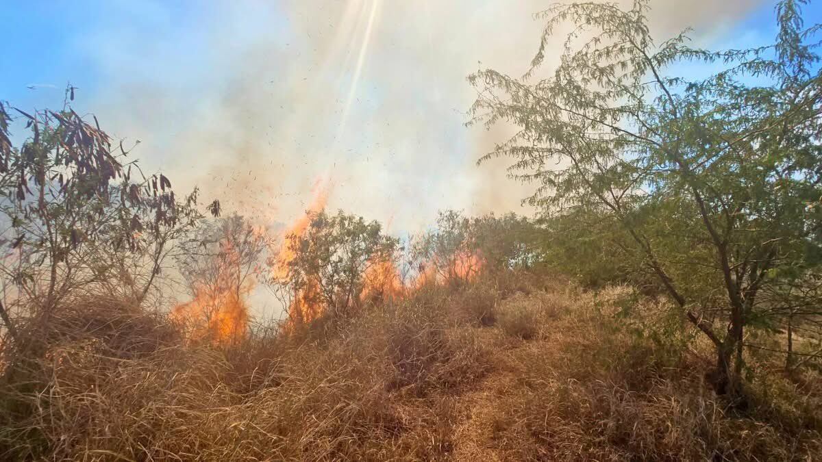 Bomberos atienden fuegos forestales en Santa Isabel y Ponce
