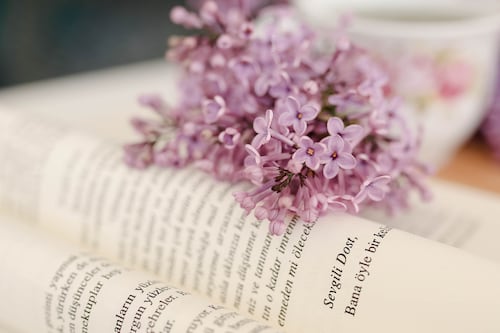 5 libros de historias de amor que huyen de los clichés y nos hacen creer en lo posible