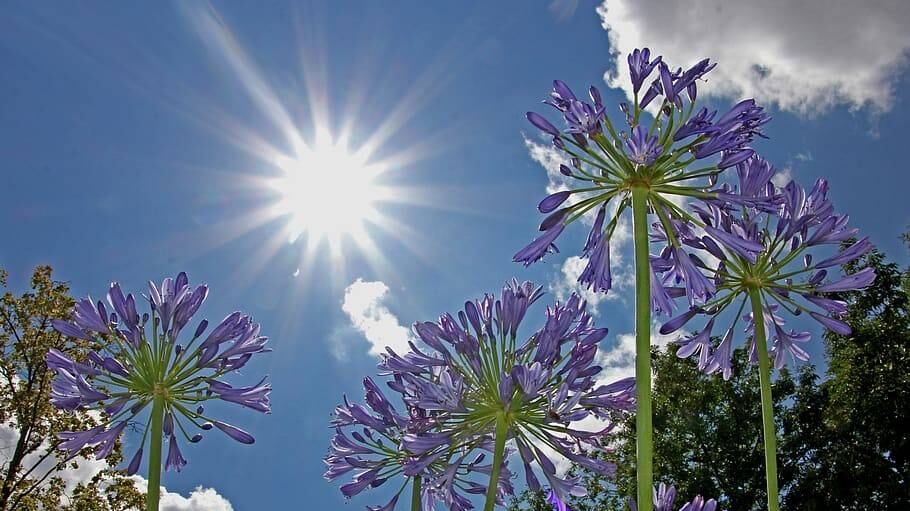 Activan en Argentina alerta roja por altas temperaturas