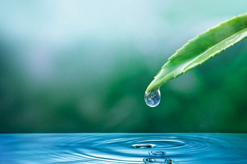 El agua es un recurso limitado y cada vez son más los problemas en diferentes partes del mundo derivados de su escasez. Foto: Freepik.