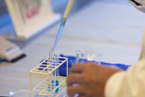 Estudio avala la sospecha: virus de Epstein-Barr puede causar la esclerosis múltiple