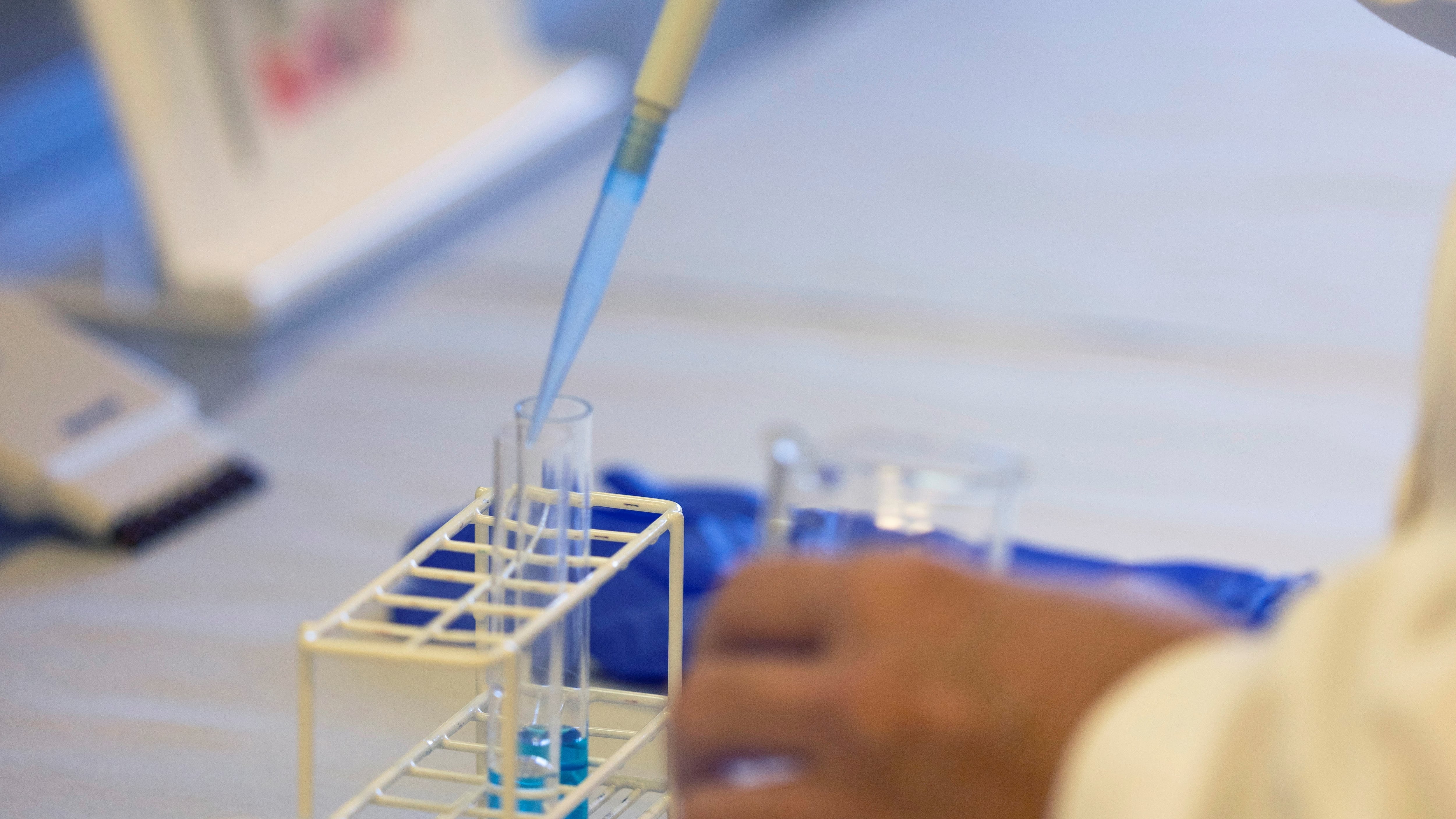 Archivo/EFE/Cati Cladera