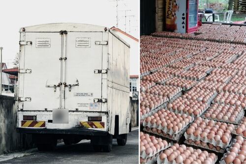 Ladrones asaltan a conductor y lo dejan sin los huevos que transportaba