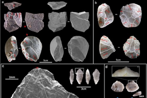Descubren en China las herramientas de piedra enmangadas más antiguas de Asia oriental