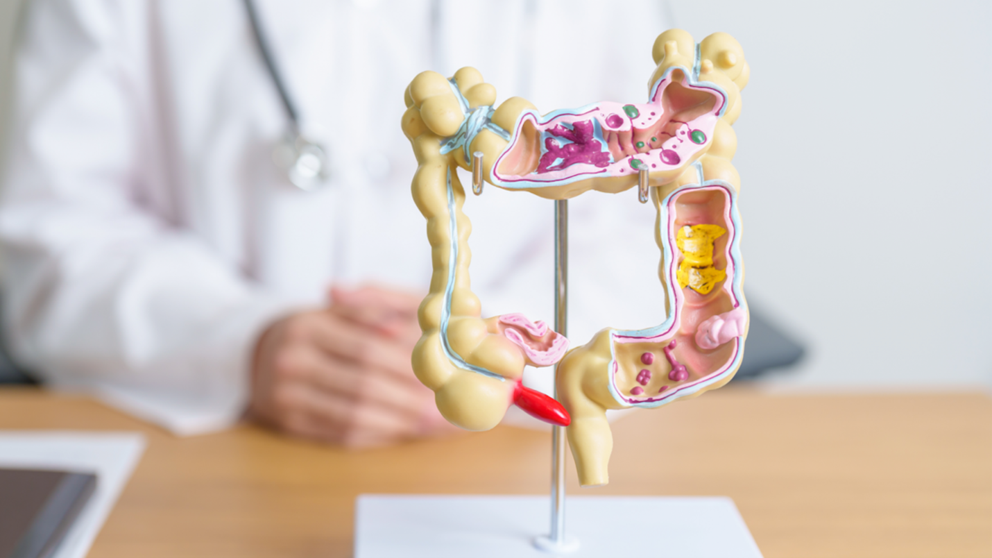 Imagen por: Shutterstock