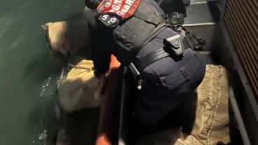 Ocupan millonario cargamento de cocaína en el puerto de San Juan.