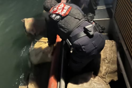 Autoridades ocupan millonario cargamento de cocaína en el puerto de San Juan