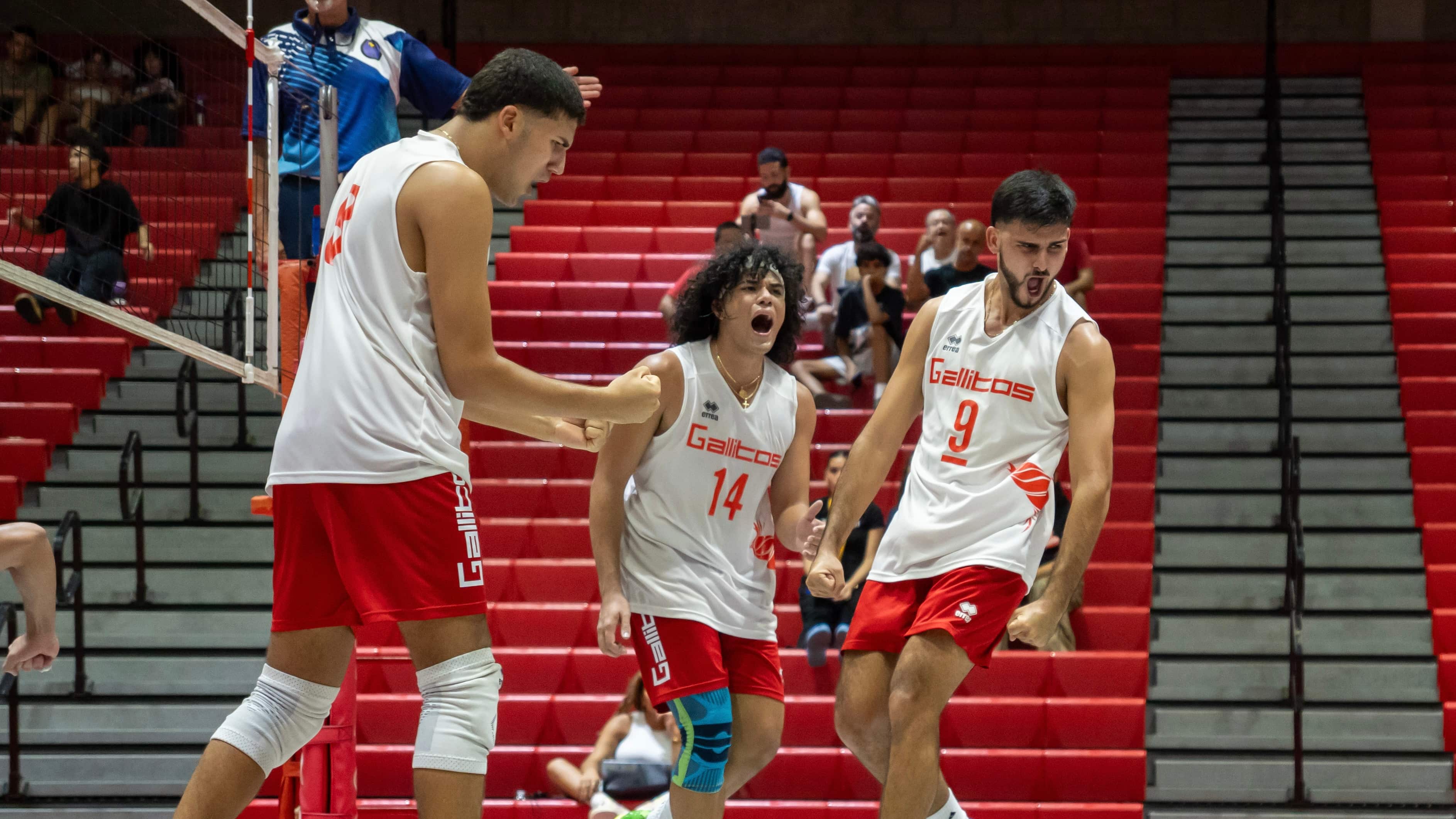 Gallitos de Río Piedras eliminan al campeón