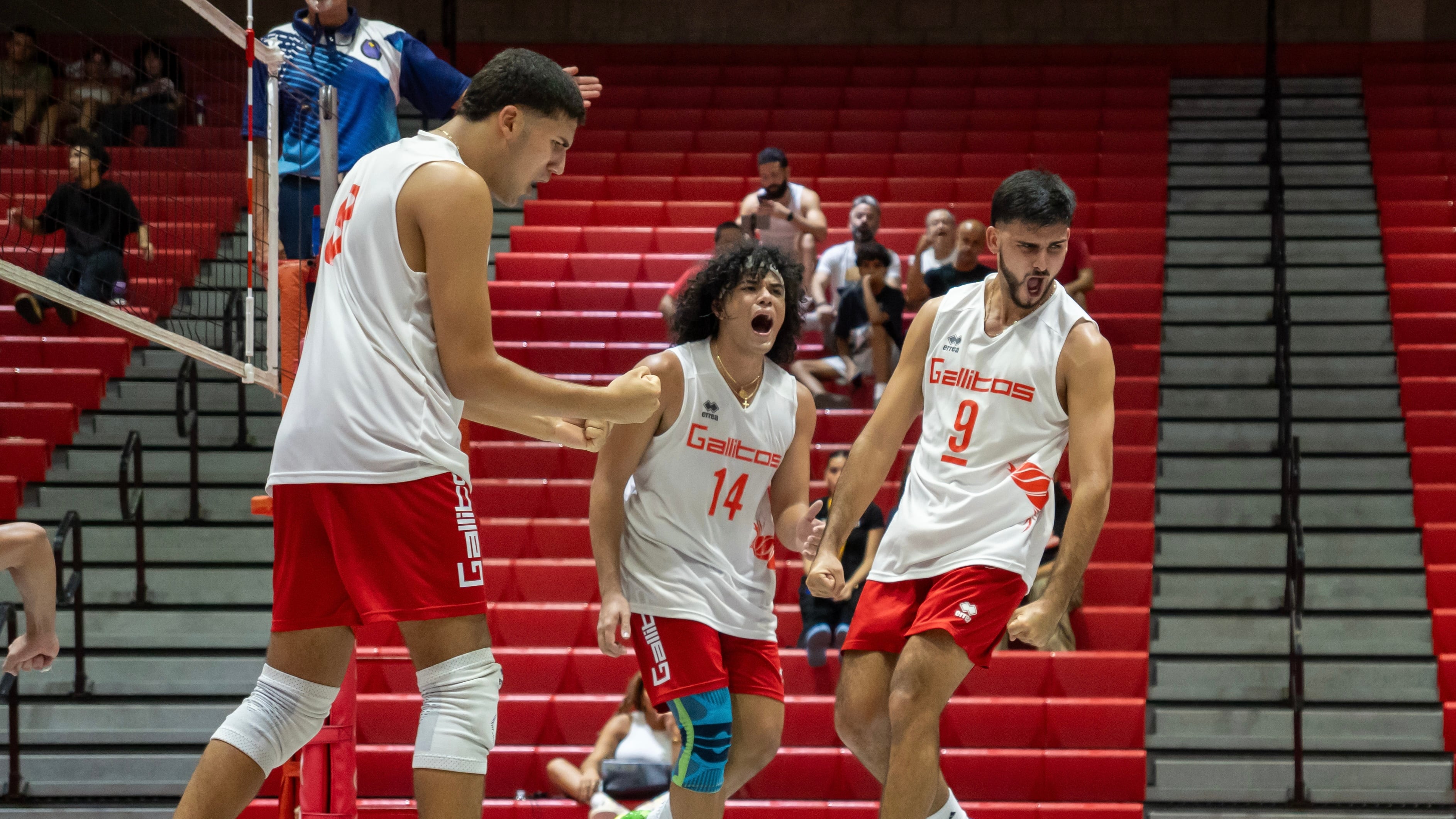 Gallitos de Río Piedras eliminan al campeón